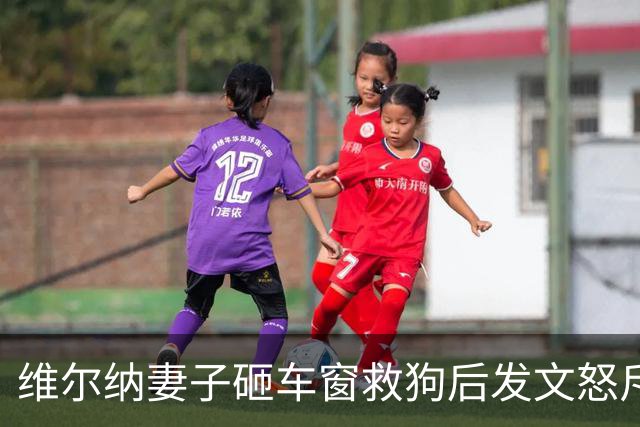 维尔纳妻子砸车窗救狗后发文怒斥主人：30度的天怎能把狗关车上？